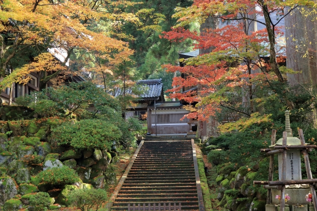 紅葉と寺院