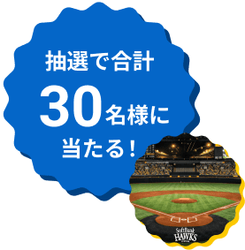 抽選で合計30名様に当たる！